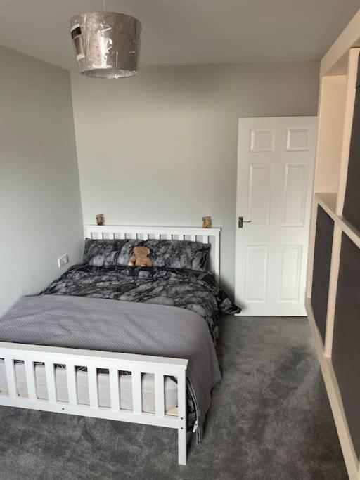 Fantastic Full 3 Bedroom Modern Apartment Belfast Zewnętrze zdjęcie