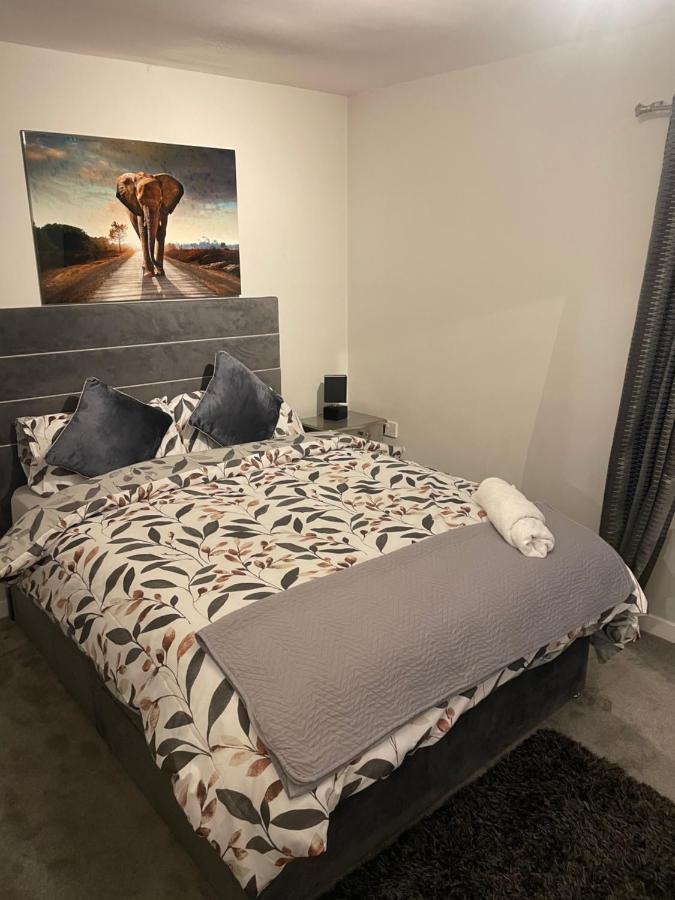 Fantastic Full 3 Bedroom Modern Apartment Belfast Zewnętrze zdjęcie